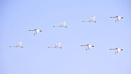 初代最大MOD《传送门：前奏》登陆steam 游戏性全面增强